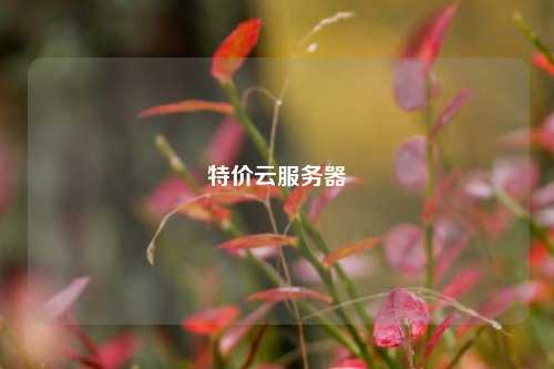 特价云服务器
