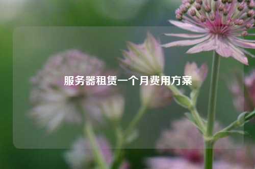服务器租赁一个月费用方案