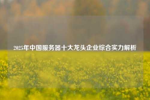 2025年中国服务器十大龙头企业综合实力解析
