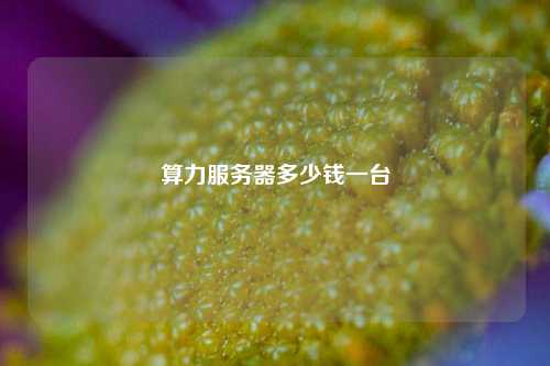 算力服务器多少钱一台