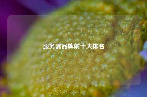 服务器品牌前十大排名