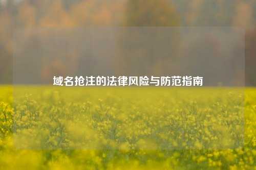 域名抢注的法律风险与防范指南
