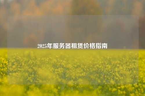 2025年服务器租赁价格指南