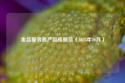金品服务器产品线概览（2025年10月）