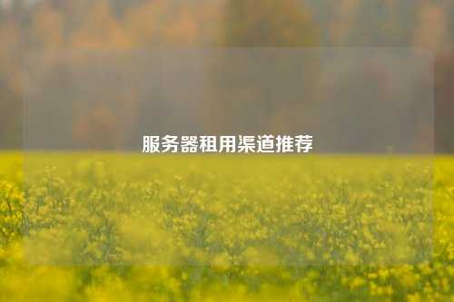 服务器租用渠道推荐