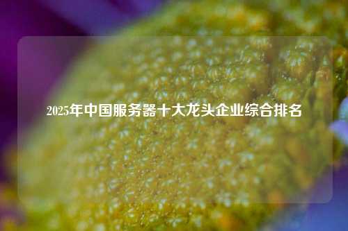 2025年中国服务器十大龙头企业综合排名