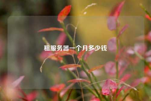 租服务器一个月多少钱