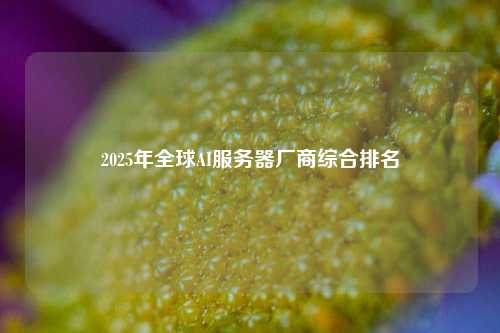 2025年全球AI服务器厂商综合排名