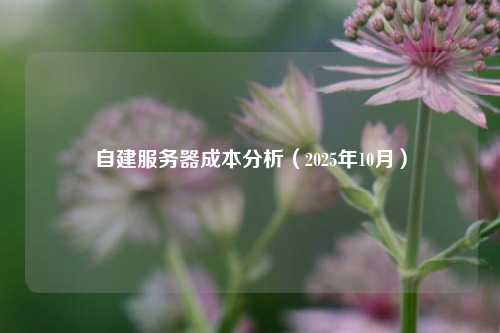 自建服务器成本分析（2025年10月）