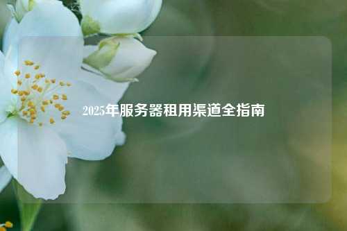 2025年服务器租用渠道全指南