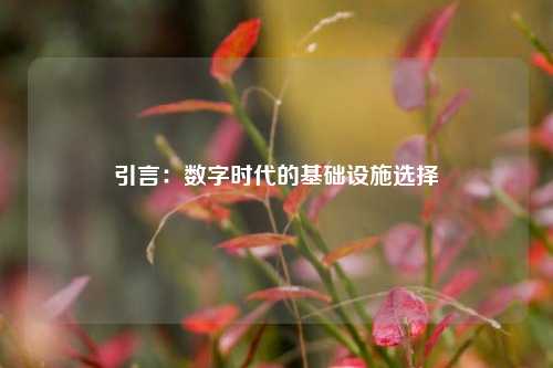 引言:数字时代的基础设施选择